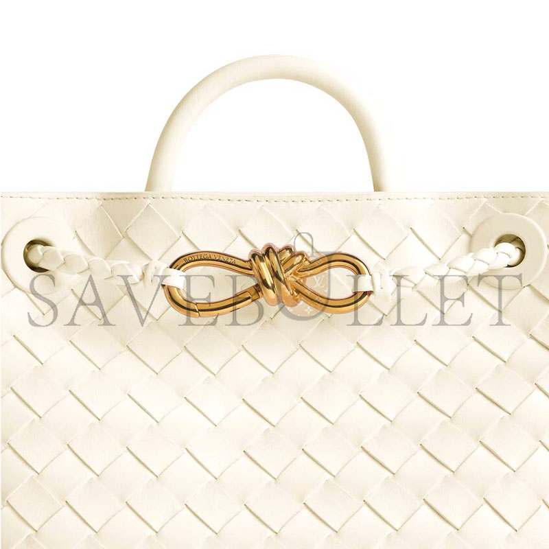 BOTTEGA VENETA SMALL ANDIAMO 766014VCPP19211 (25*20*10cm)